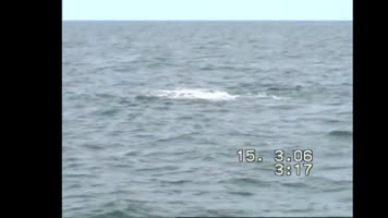 Albums/20060200-New Zealand 2006/20060318-Kaikiura/37